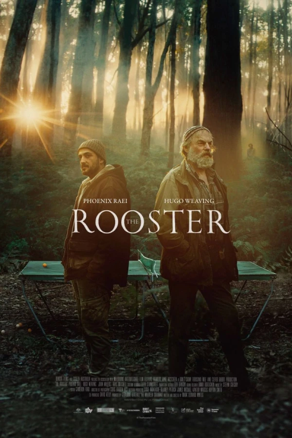 The Rooster Cartaz