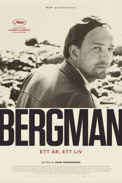 Bergman - Um Ano, Uma Vida