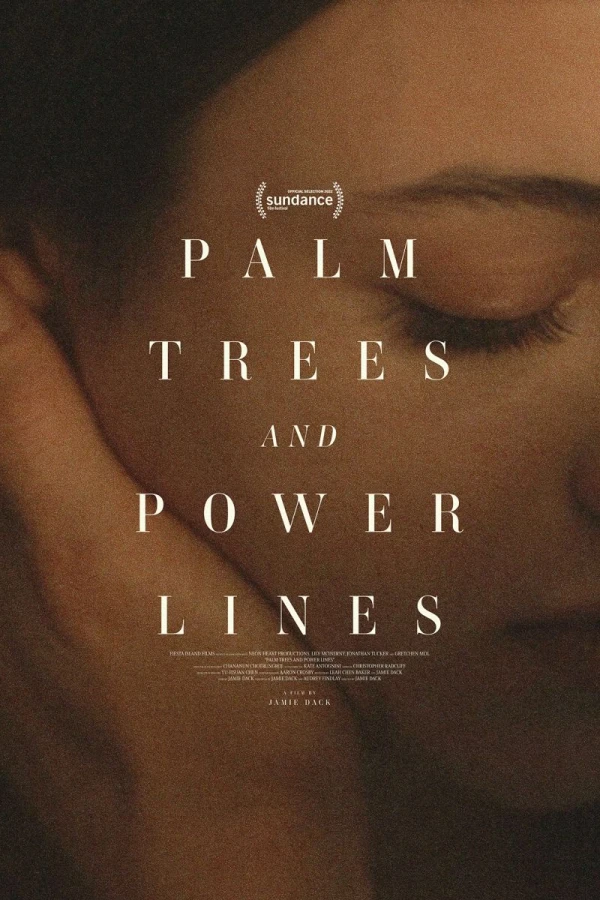 Palm Trees and Power Lines Cartaz
