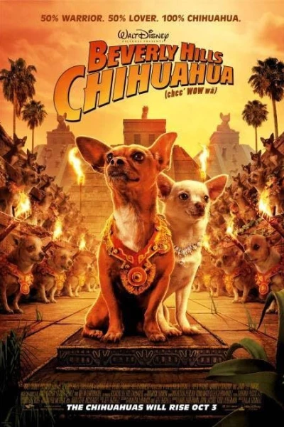 O Chihuahua de Beverly Hills