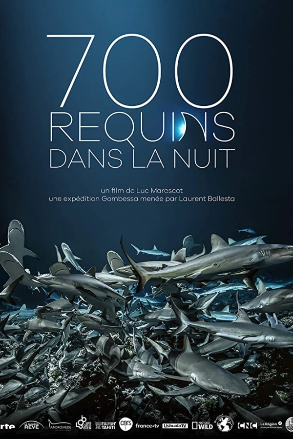 700 Sharks Cartaz