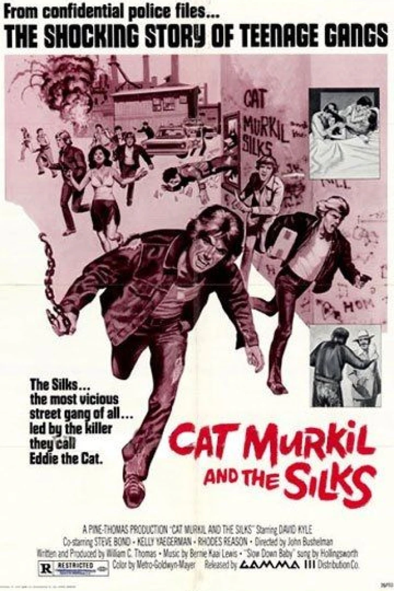 Cat Murkil and the Silks Cartaz