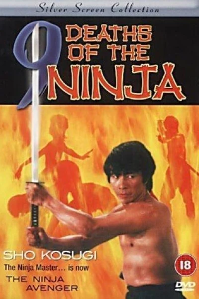 O Vingador de Ninja